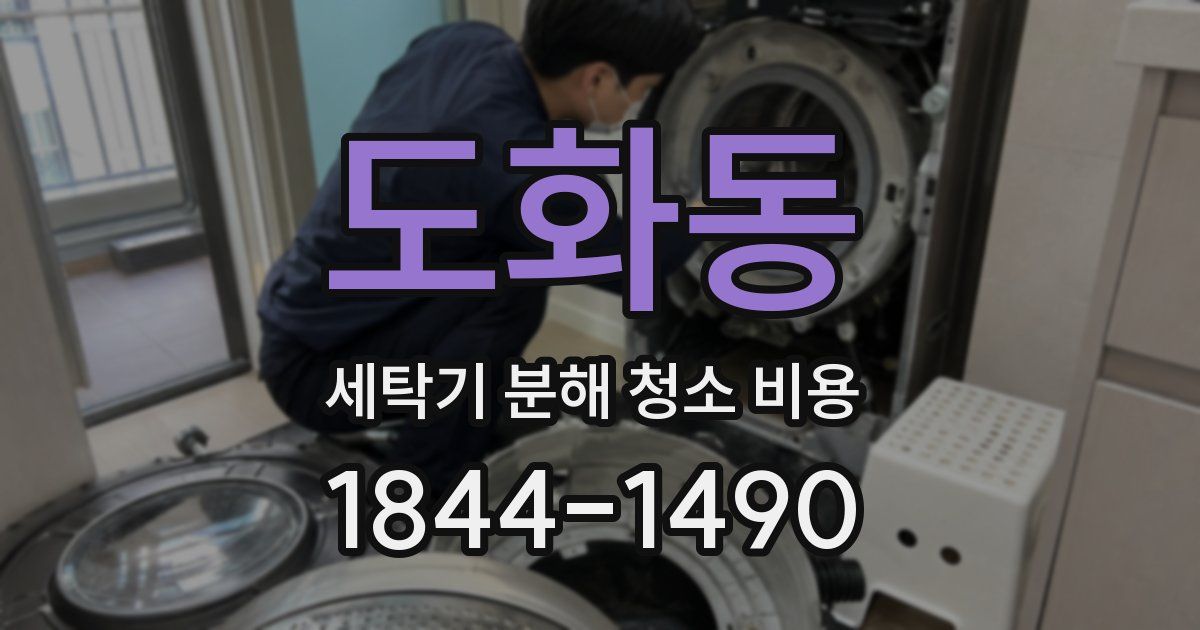 도화동 세탁기 분해 청소 비용