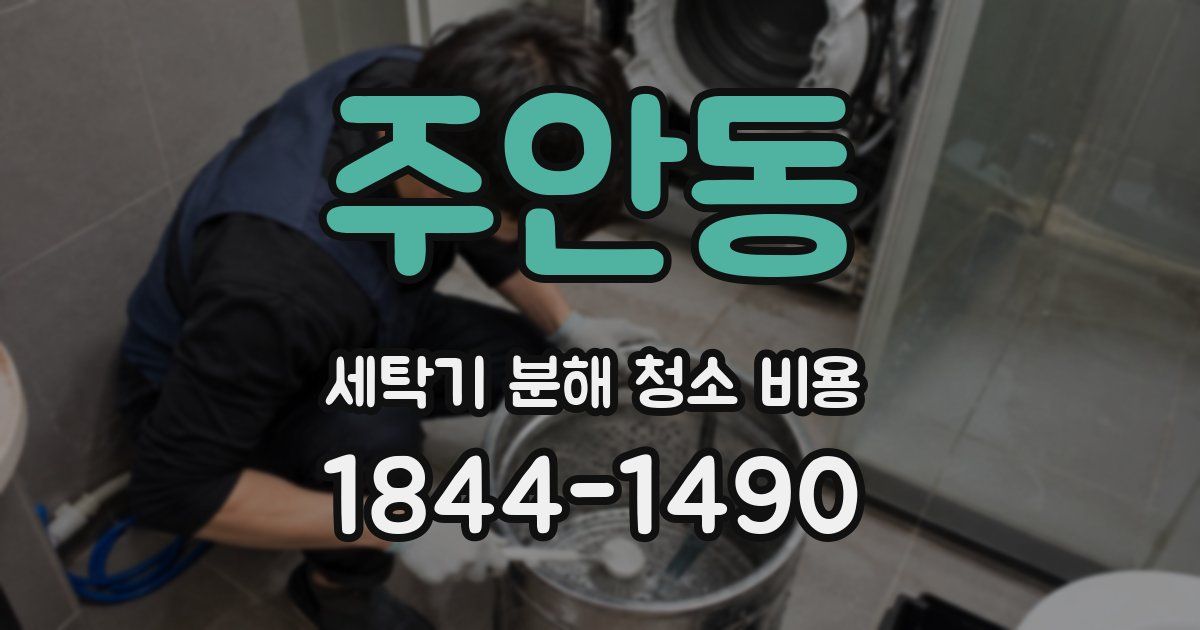 주안동 세탁기 분해 청소 비용