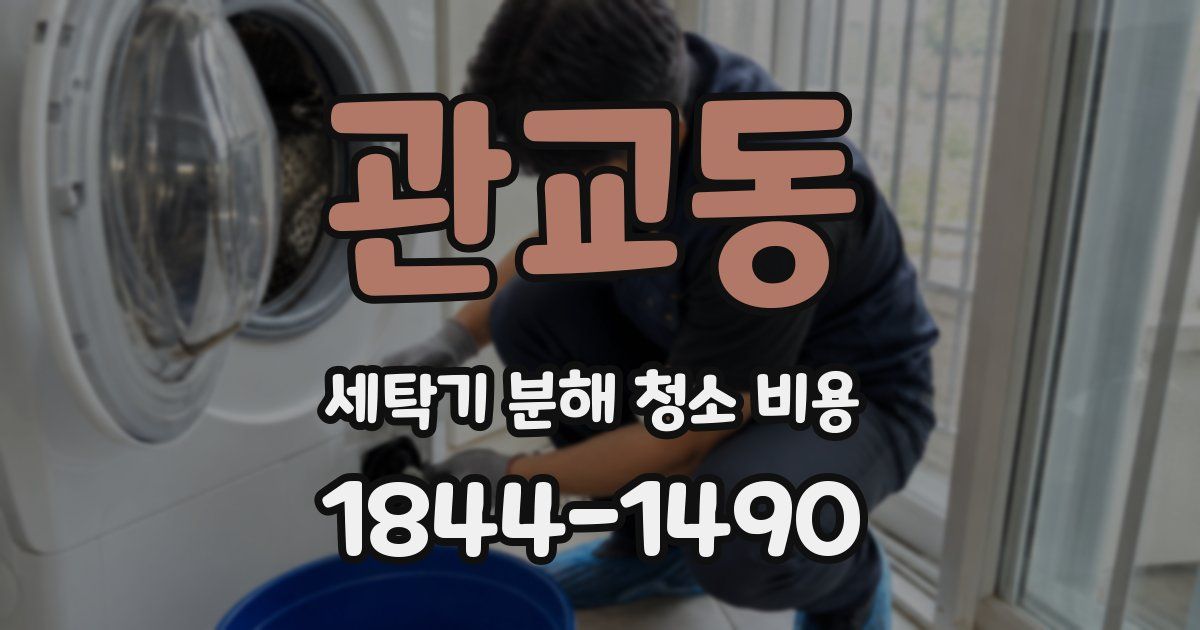 관교동 세탁기 분해 청소 비용