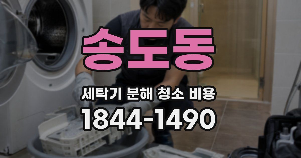 송도동 세탁기 분해 청소 비용
