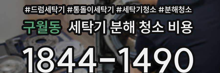 구월동 세탁기 분해 청소 비용