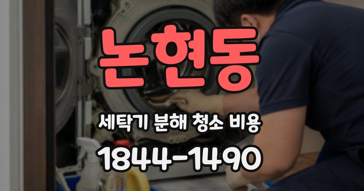 논현동 세탁기 분해 청소 비용