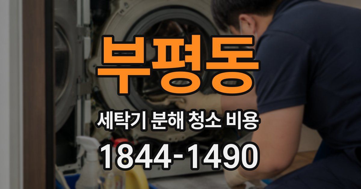 부평동 세탁기 분해 청소 비용