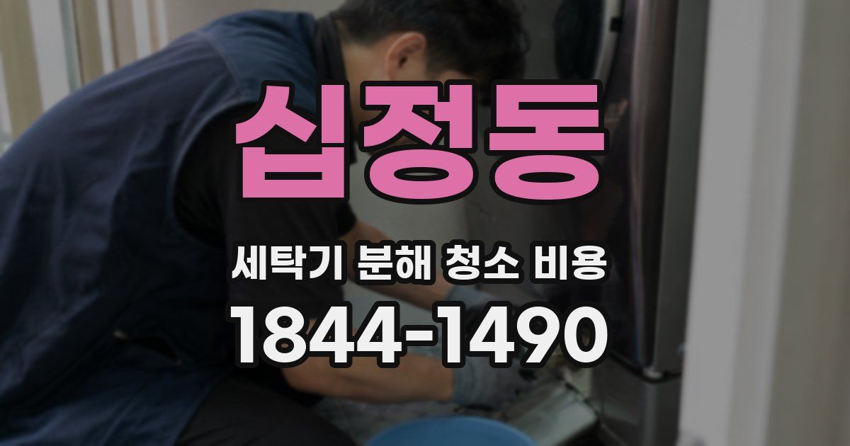 십정동 세탁기 분해 청소 비용