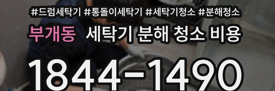부개동 세탁기 분해 청소 비용