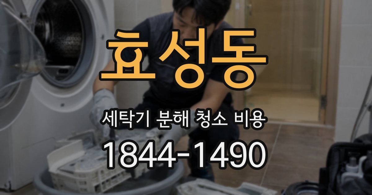 효성동 세탁기 분해 청소 비용