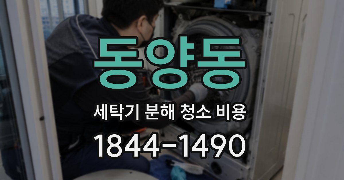 동양동 세탁기 분해 청소 비용