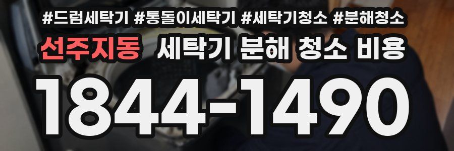 선주지동 세탁기 분해 청소 비용