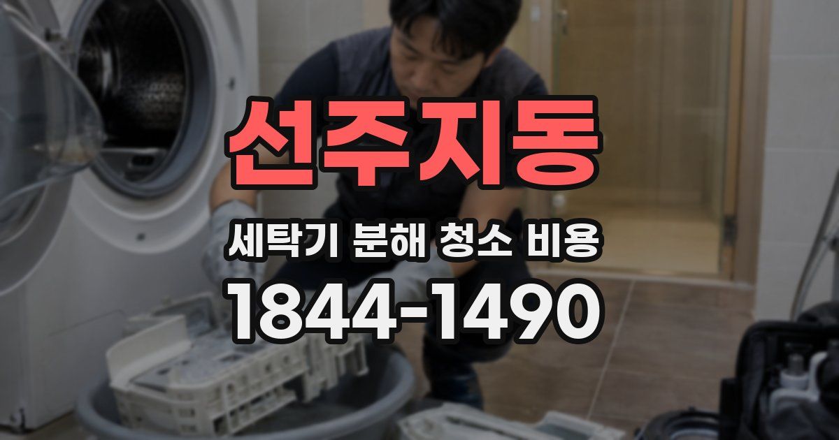 선주지동 세탁기 분해 청소 비용