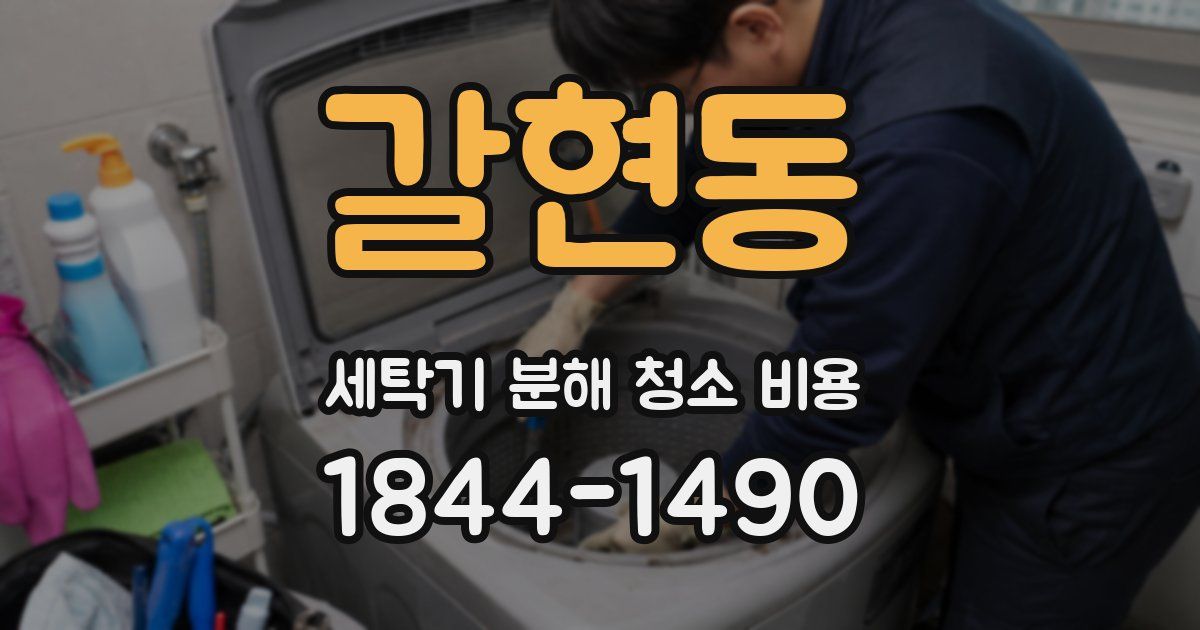 갈현동 세탁기 분해 청소 비용