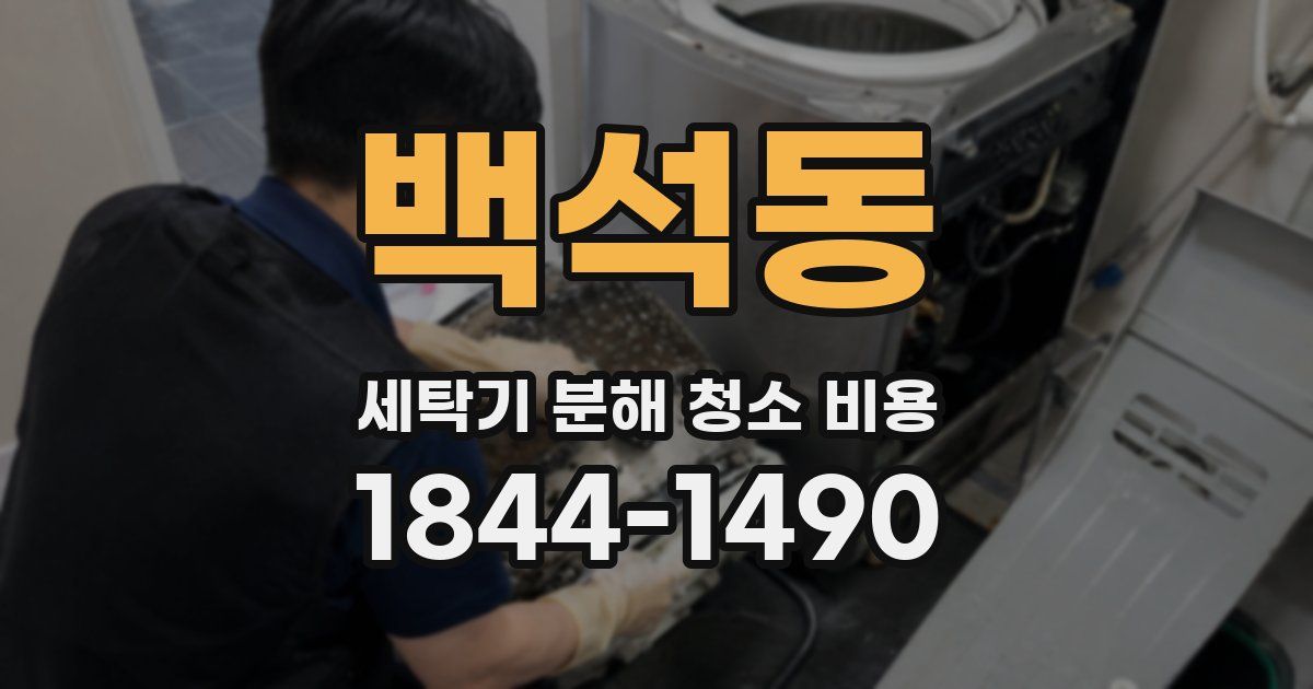 백석동 세탁기 분해 청소 비용