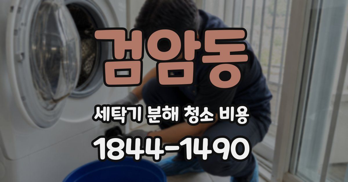 검암동 세탁기 분해 청소 비용