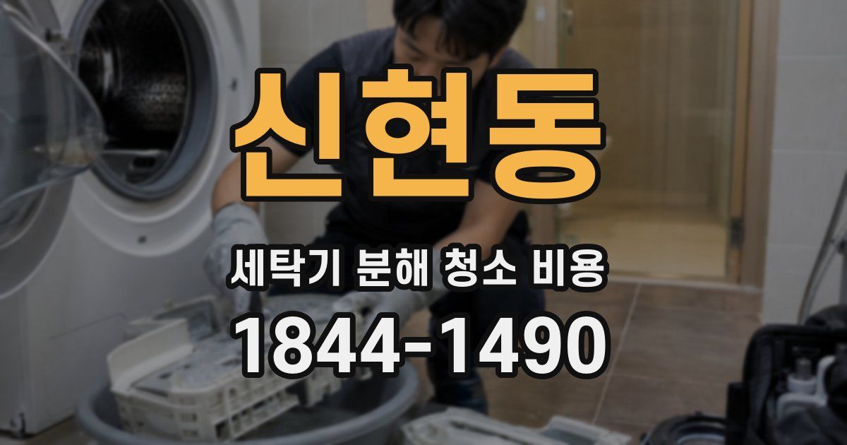 신현동 세탁기 분해 청소 비용