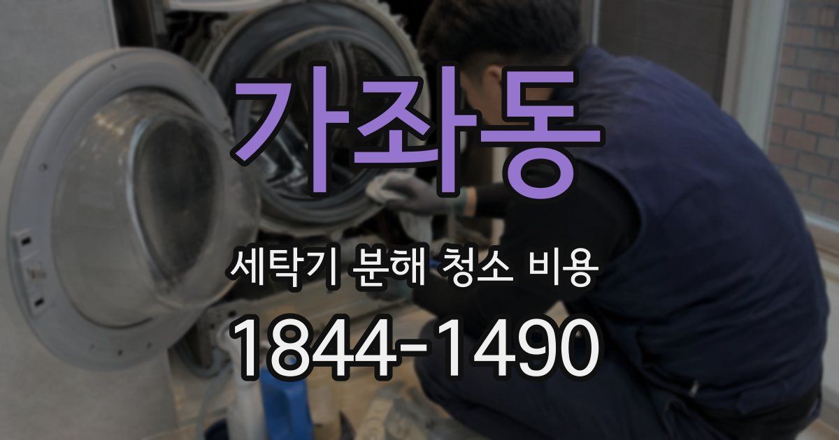 가좌동 세탁기 분해 청소 비용