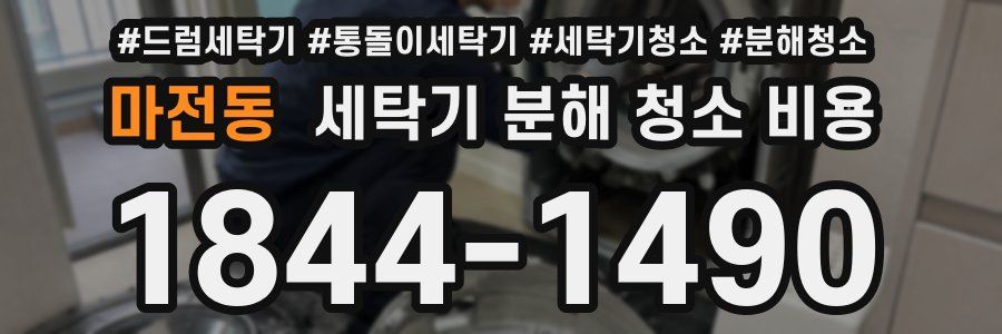 마전동 세탁기 분해 청소 비용