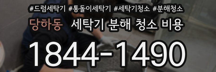 당하동 세탁기 분해 청소 비용