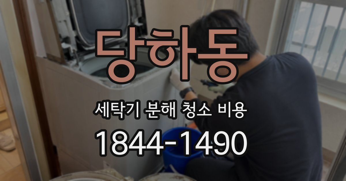 당하동 세탁기 분해 청소 비용