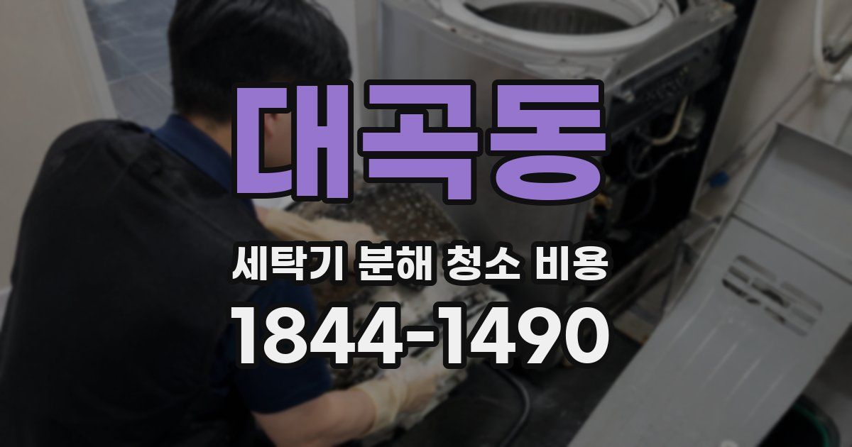 대곡동 세탁기 분해 청소 비용
