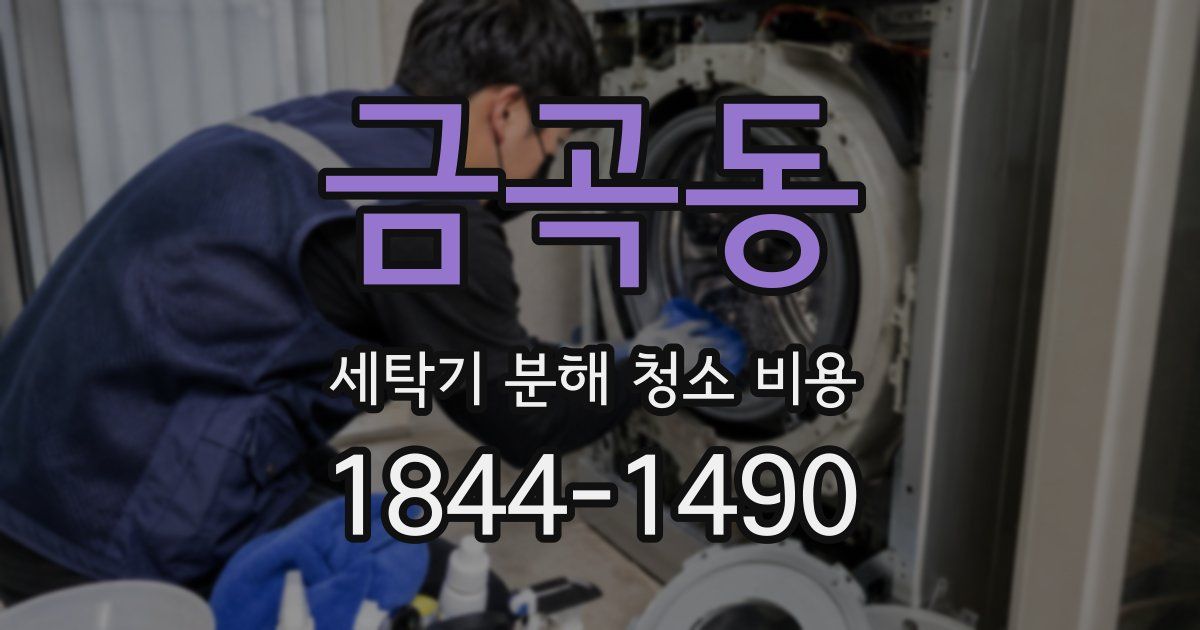 금곡동 세탁기 분해 청소 비용