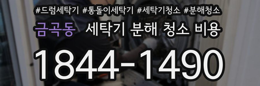 금곡동 세탁기 분해 청소 비용
