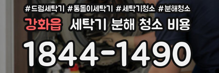 강화읍 세탁기 분해 청소 비용