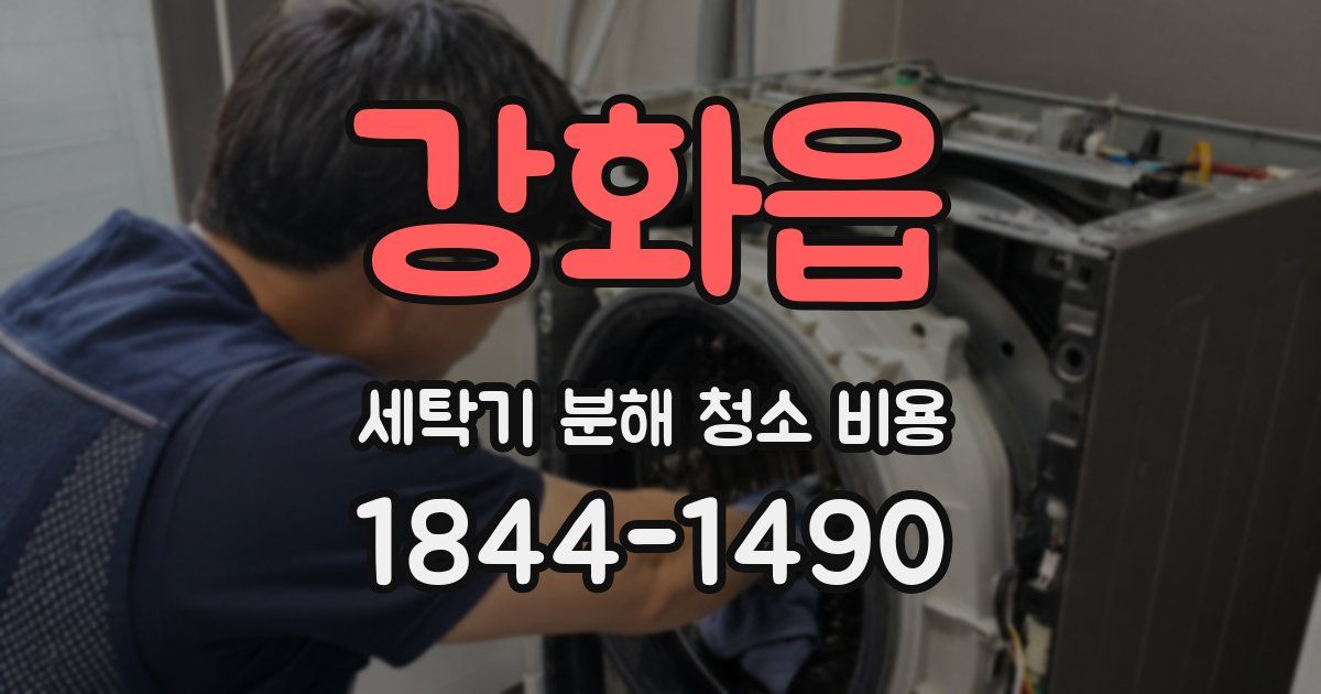 강화읍 세탁기 분해 청소 비용