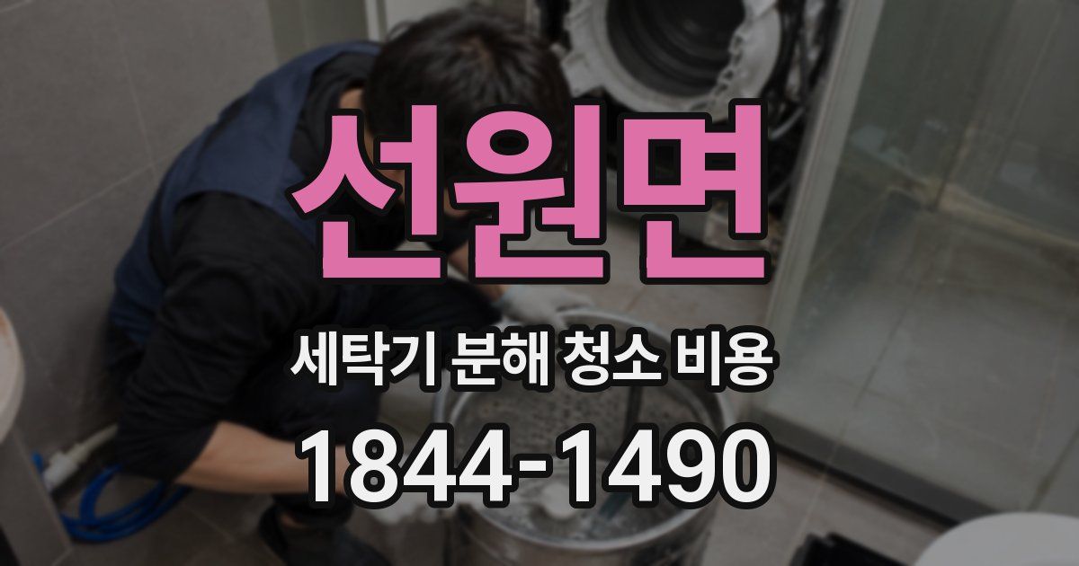 선원면 세탁기 분해 청소 비용