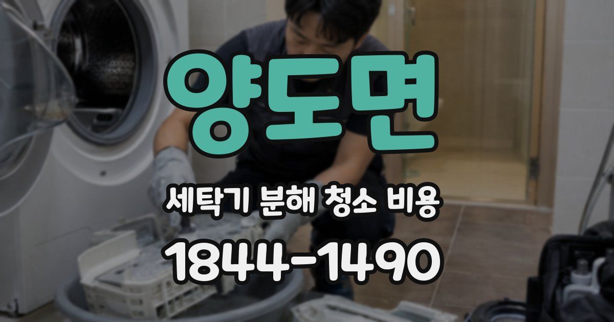 양도면 세탁기 분해 청소 비용