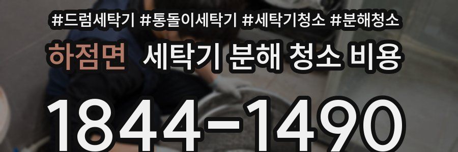 하점면 세탁기 분해 청소 비용