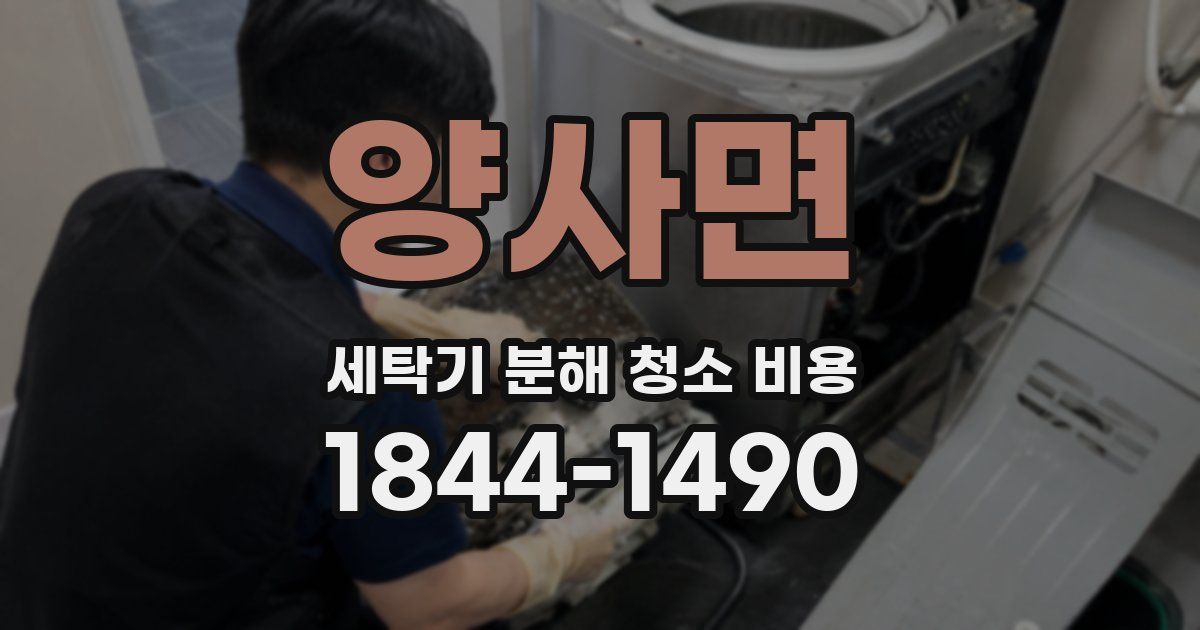 양사면 세탁기 분해 청소 비용