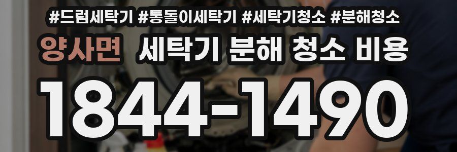 양사면 세탁기 분해 청소 비용