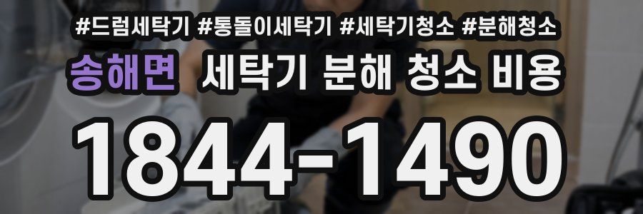 송해면 세탁기 분해 청소 비용