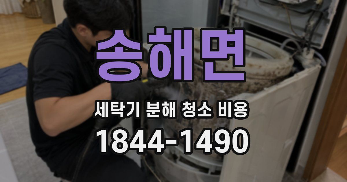 송해면 세탁기 분해 청소 비용