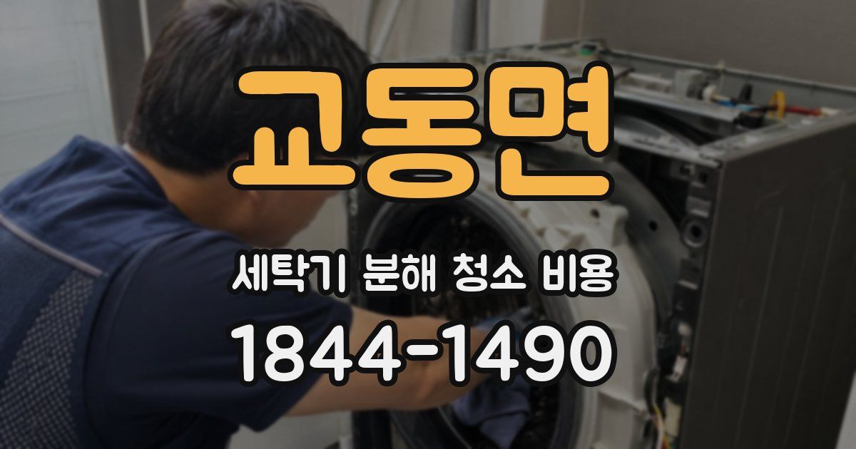 교동면 세탁기 분해 청소 비용