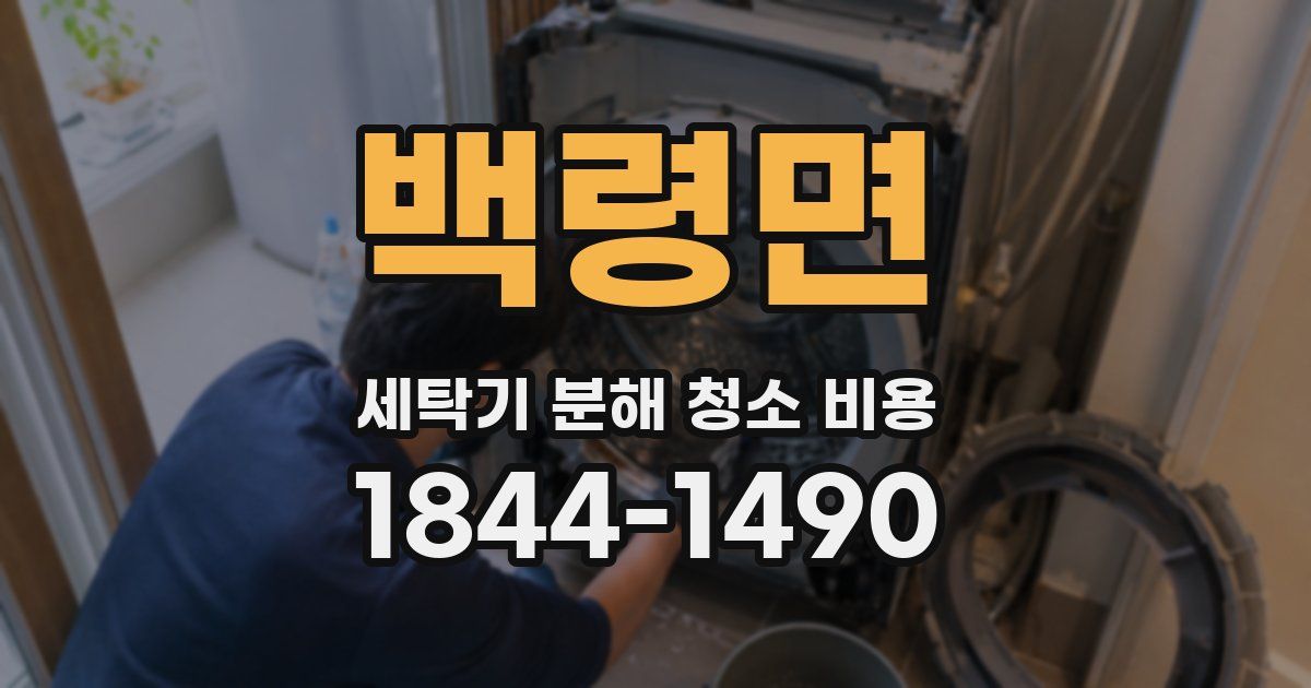 백령면 세탁기 분해 청소 비용