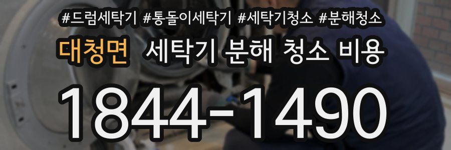 대청면 세탁기 분해 청소 비용