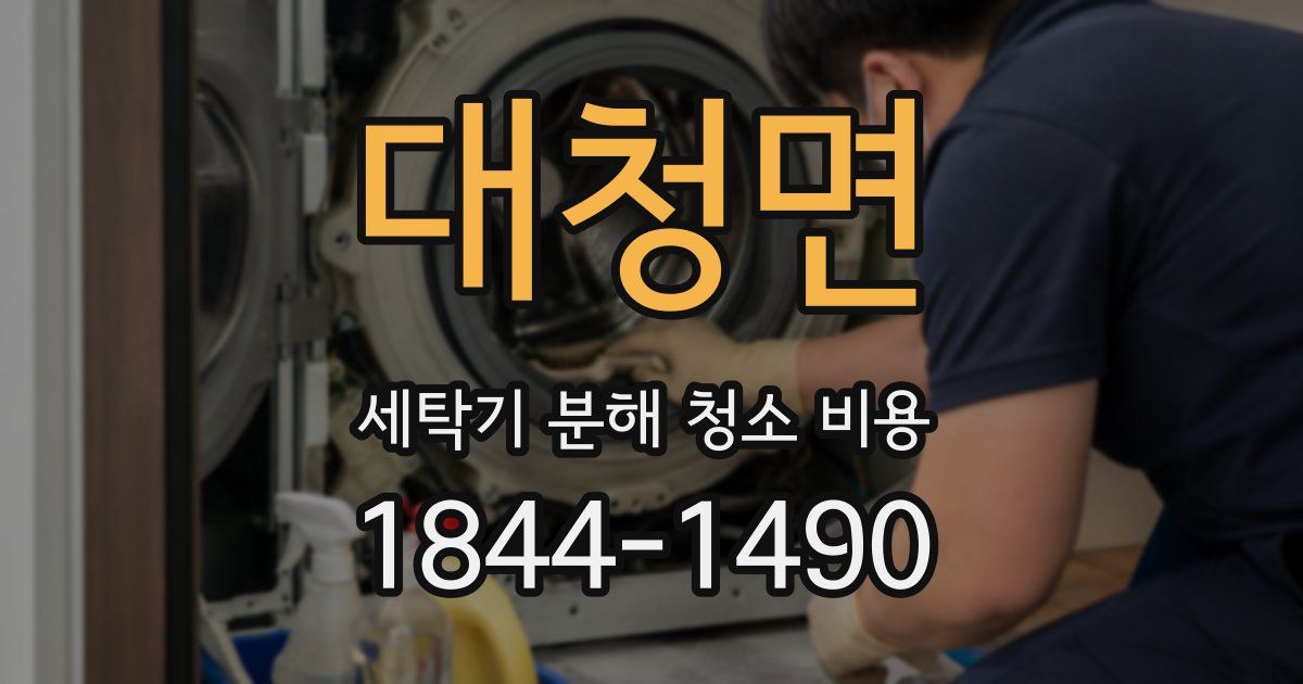 대청면 세탁기 분해 청소 비용