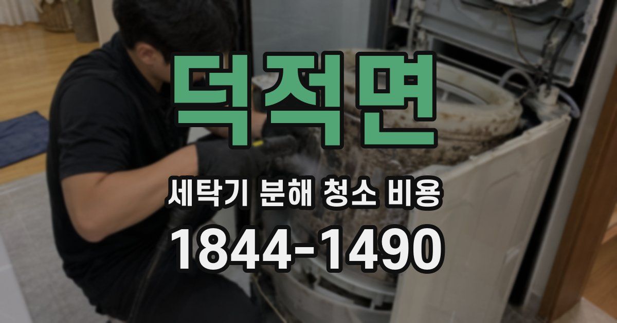 덕적면 세탁기 분해 청소 비용