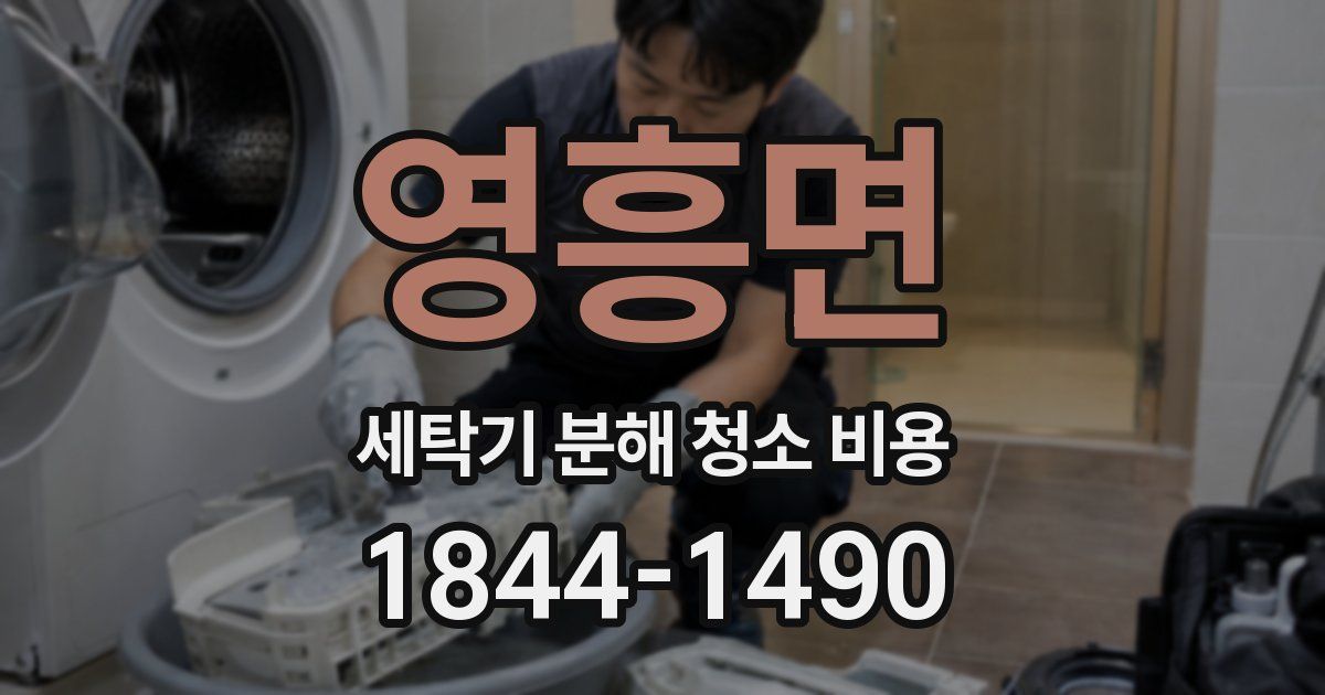 영흥면 세탁기 분해 청소 비용