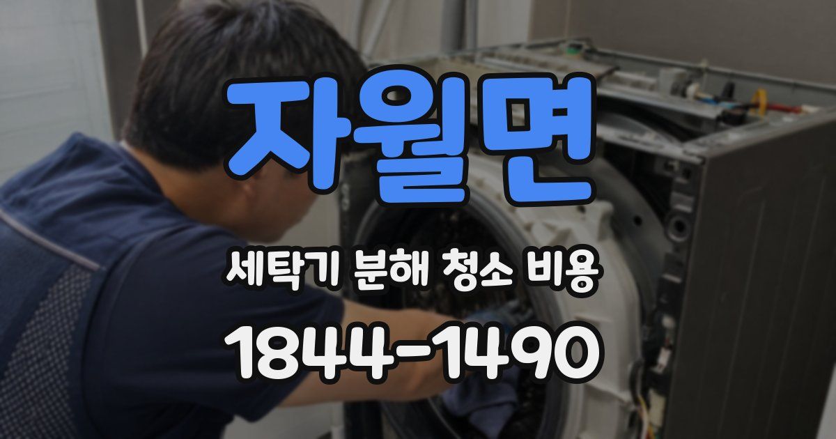자월면 세탁기 분해 청소 비용