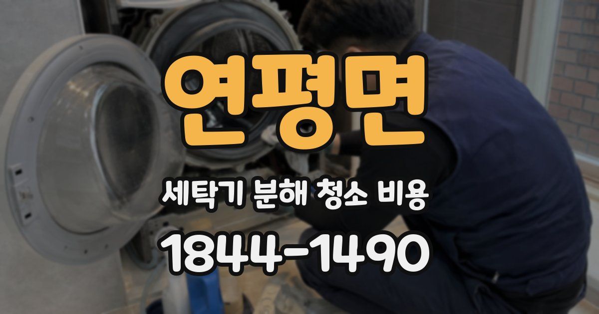 연평면 세탁기 분해 청소 비용