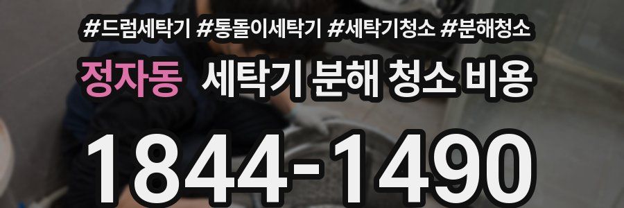 정자동 세탁기 분해 청소 비용