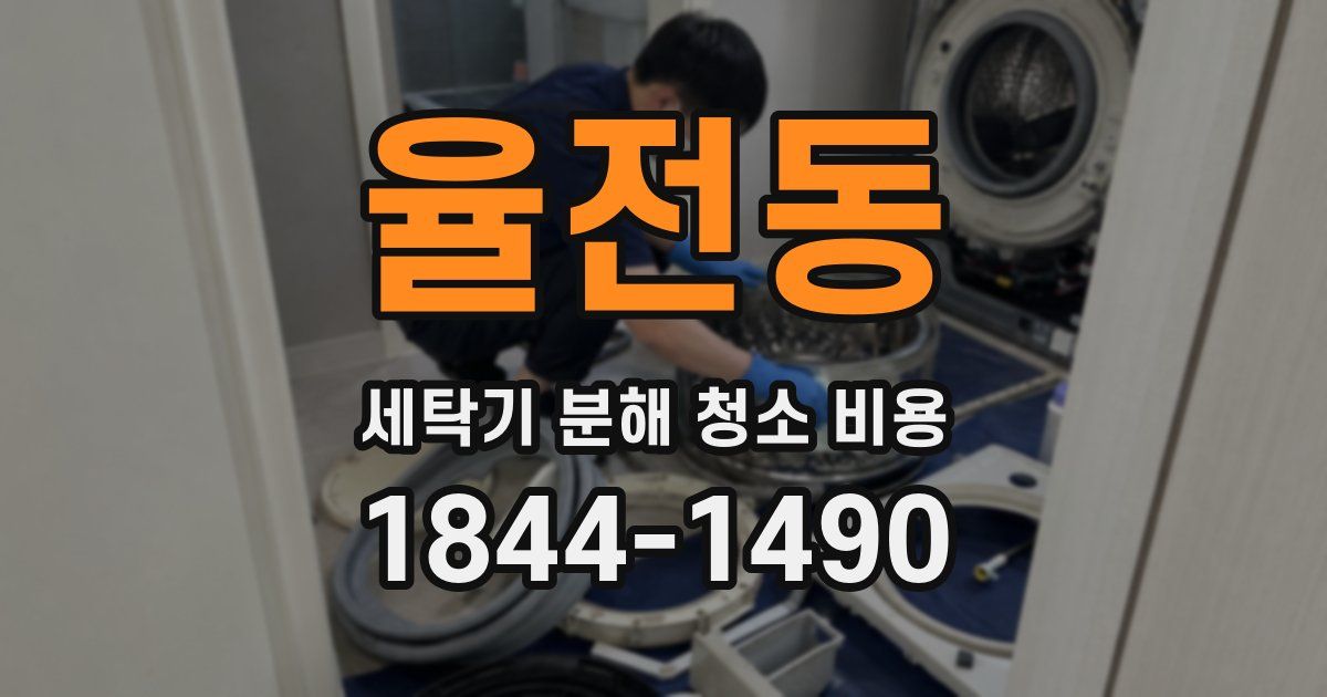 율전동 세탁기 분해 청소 비용