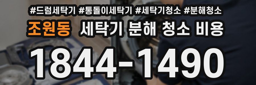 조원동 세탁기 분해 청소 비용