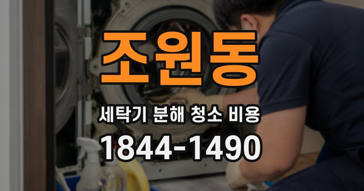 조원동 세탁기 분해 청소 비용