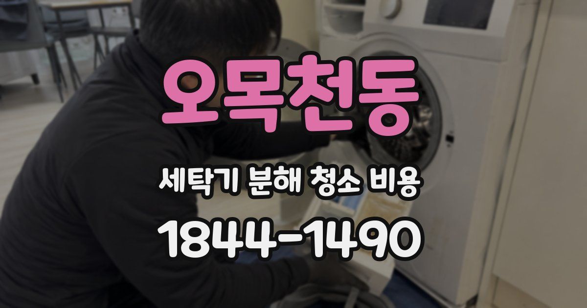 오목천동 세탁기 분해 청소 비용