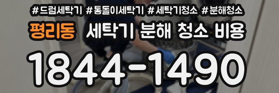 평리동 세탁기 분해 청소 비용