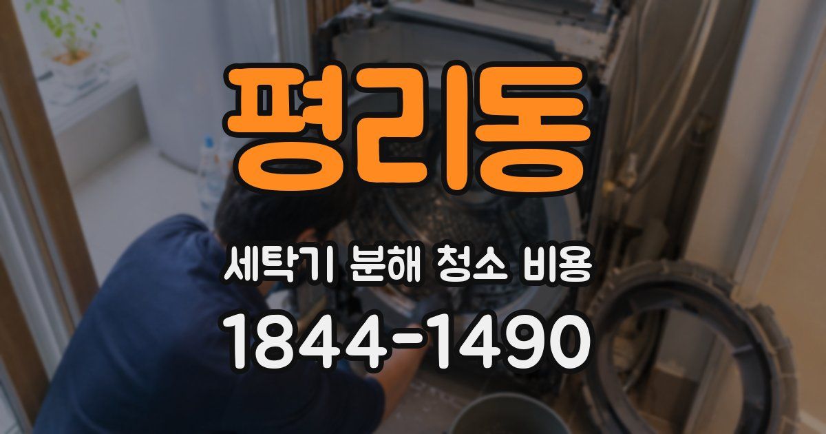 평리동 세탁기 분해 청소 비용