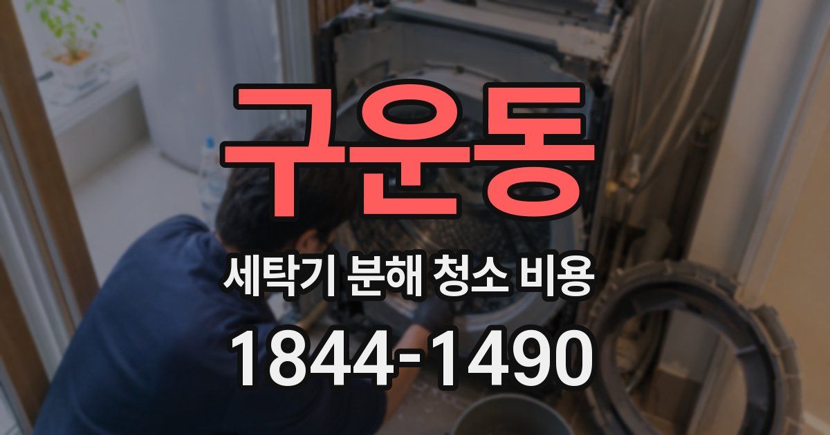 구운동 세탁기 분해 청소 비용