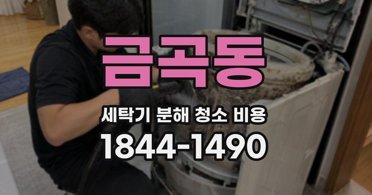 금곡동 세탁기 분해 청소 비용